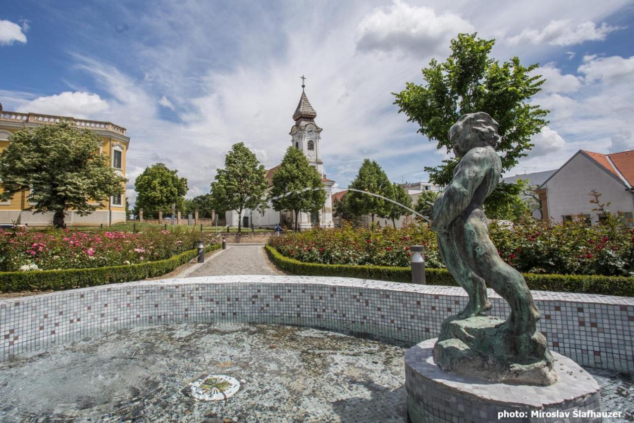 Vila Rosa Vukovar Bed and Breakfast Εξωτερικό φωτογραφία