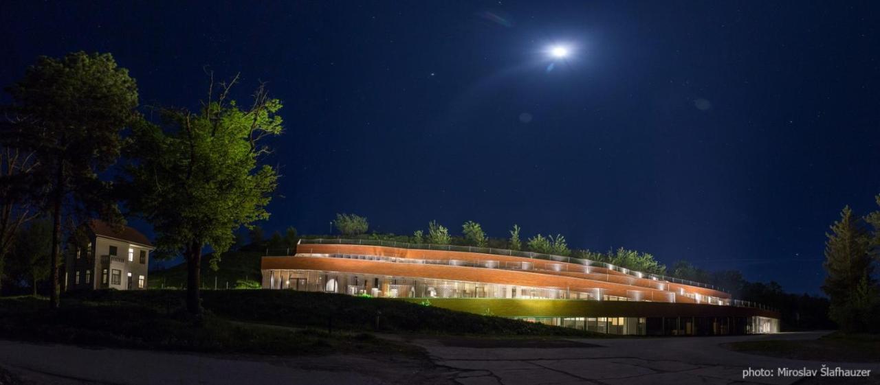 Vila Rosa Vukovar Bed and Breakfast Εξωτερικό φωτογραφία
