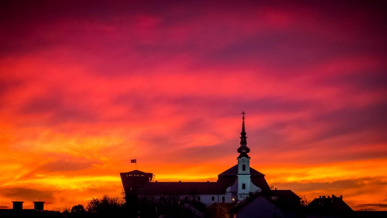 Vila Rosa Vukovar Bed and Breakfast Εξωτερικό φωτογραφία