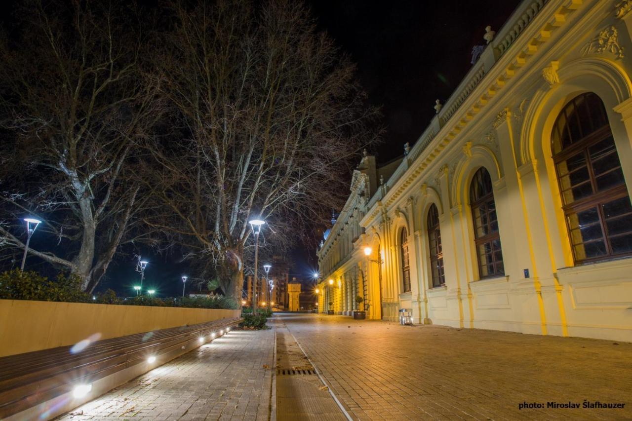 Vila Rosa Vukovar Bed and Breakfast Εξωτερικό φωτογραφία